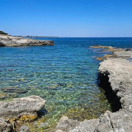 Bed and breakfast Pegaso